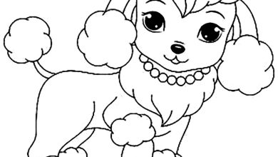 Sevimli Kaniş Boyama Sayfası - Kolay ve Eğlenceli Boyama Etkinliği