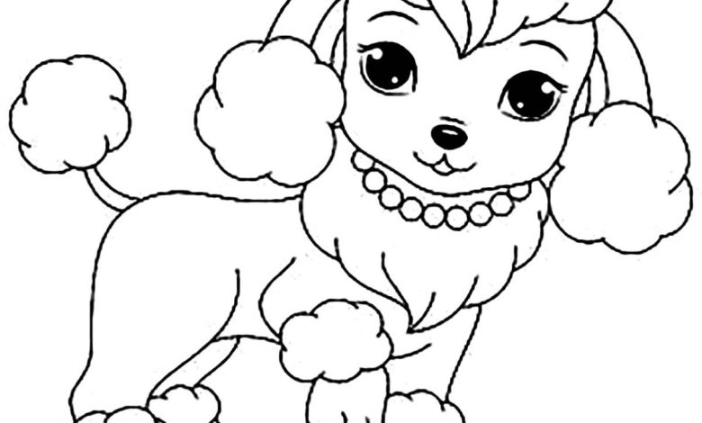 Sevimli Kaniş Boyama Sayfası - Kolay ve Eğlenceli Boyama Etkinliği