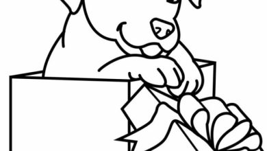 Kutu İçindeki Yavru Köpek Boyama Sayfası