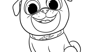 Sevimli Köpek Boyama Sayfası