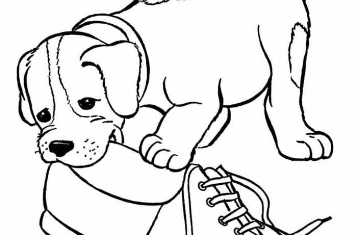 Yavru Köpek ve Ayakkabı Boyama Sayfası - Eğlenceli Çocuk Etkinlikleri