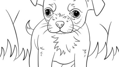 Sevimli Yavru Köpek Boyama Sayfası