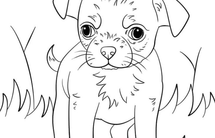 Sevimli Yavru Köpek Boyama Sayfası