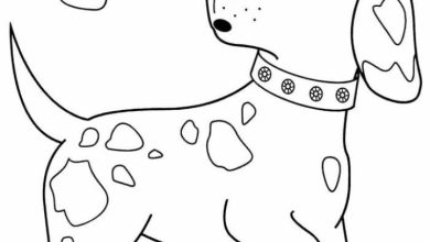 Kelebek ve Yavru Köpek Boyama Sayfası