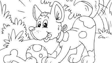 Mutlu Köpek Boyama Sayfası - Top ve Kemikle Oynayan Sevimli Köpek