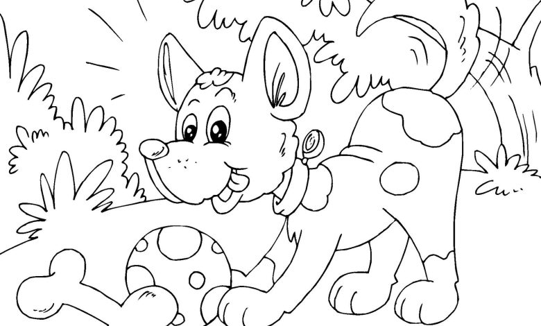 Mutlu Köpek Boyama Sayfası - Top ve Kemikle Oynayan Sevimli Köpek