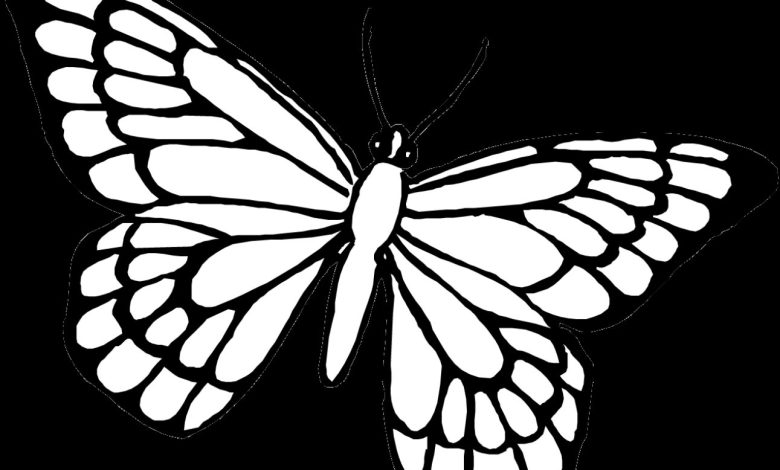 Kelebek Boyama Sayfası - Detaylı Siyah Beyaz Çizim