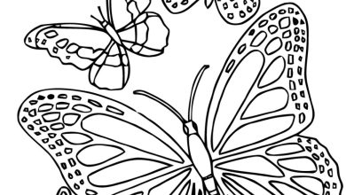 Kelebek Boyama Sayfası Çeşitli Tasarımlar ve Desenler