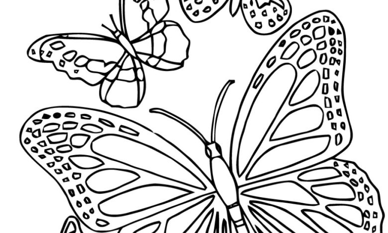 Kelebek Boyama Sayfası Çeşitli Tasarımlar ve Desenler