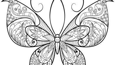 Karmaşık Desenli Kelebek Boyama Sayfası