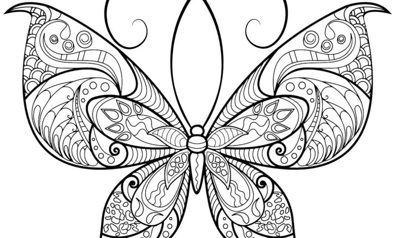 Karmaşık Desenli Kelebek Boyama Sayfası