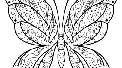 Zentangle Stili Kelebek Boyama Sayfası