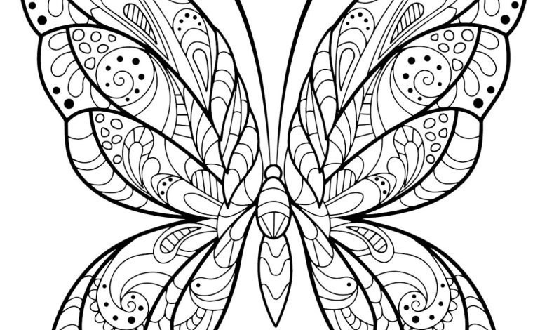 Zentangle Stili Kelebek Boyama Sayfası