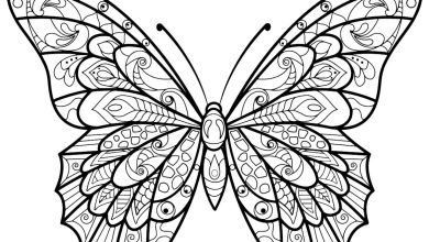 Detaylı Desenli Kelebek Boyama Sayfası Yaratıcı ve Sakinleştirici Aktivite