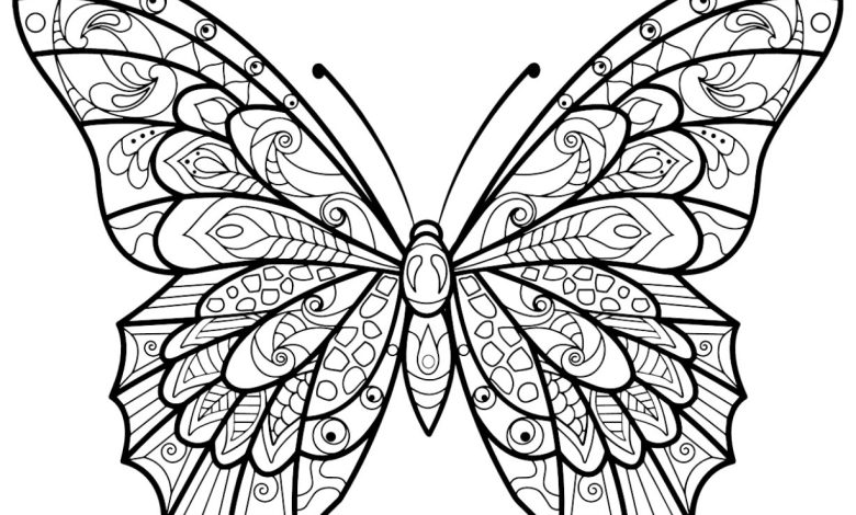 Detaylı Desenli Kelebek Boyama Sayfası Yaratıcı ve Sakinleştirici Aktivite