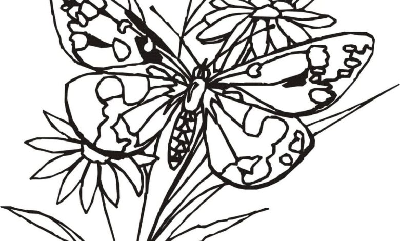 Kelebek ve Çiçekler Boyama Sayfası - Detaylı ve Doğa Temalı Çizim
