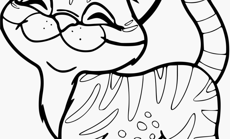 Sevimli Çizgi Kedi Boyama Sayfası - Detaylı Kedi Desenleri ile Eğlenceli Boyama