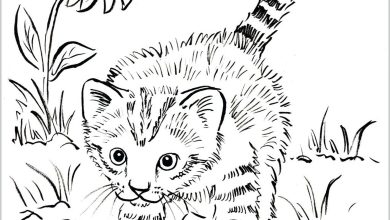 Sevimli Yavru Kedi Boyama Sayfası - Çiçekli Doğa Ortamı