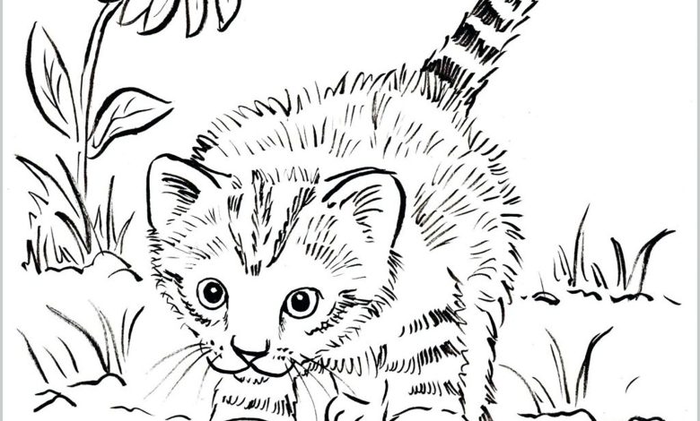 Sevimli Yavru Kedi Boyama Sayfası - Çiçekli Doğa Ortamı