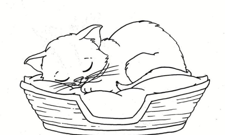 Kedinin Sepette Uyuduğu Boyama Sayfası