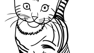 Sevimli Kedi Boyama Sayfası - Çizgili Yavru Kedi Çizimi