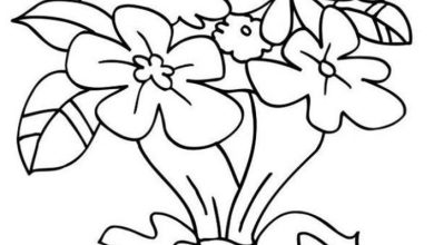 Çiçek Buketi Boyama Sayfası - Bahar Çiçekleri Boyama Kitabı