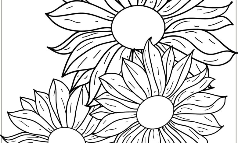Güne çiçekleri Boyama Sayfası - Üç Büyük Güne çiçeği Görseli