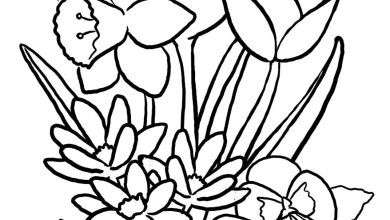 Bahar Çiçekleri Boyama Sayfası - Lale ve Nergis Çiçekleri