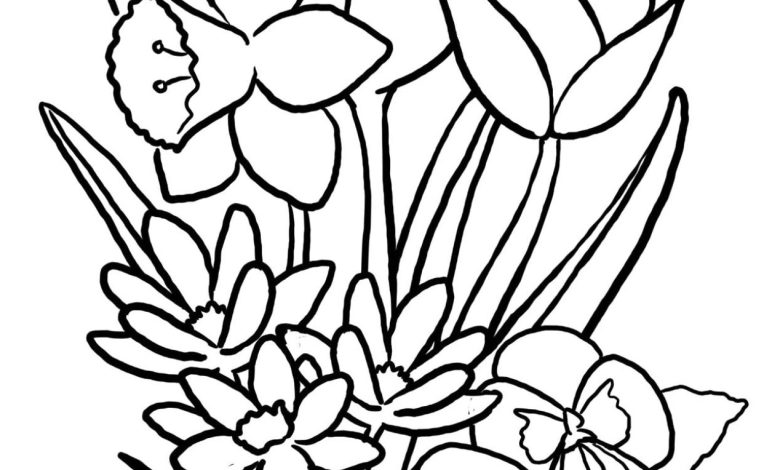 Bahar Çiçekleri Boyama Sayfası - Lale ve Nergis Çiçekleri