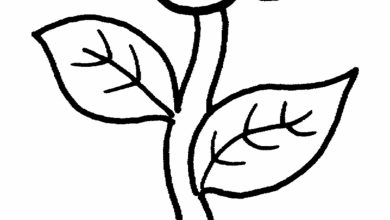 Çiçek Boyama Sayfası Tek Saplı ve İki Yapraklı Çiçek