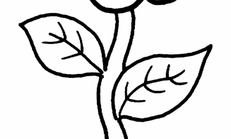 Çiçek Boyama Sayfası Tek Saplı ve İki Yapraklı Çiçek