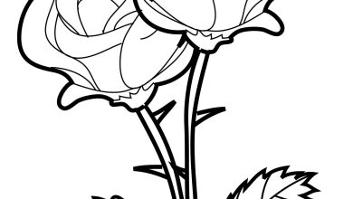 İki Güllü Detaylı Boyama Sayfası - Çiçek Boyama Sayfası