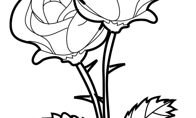 İki Güllü Detaylı Boyama Sayfası - Çiçek Boyama Sayfası