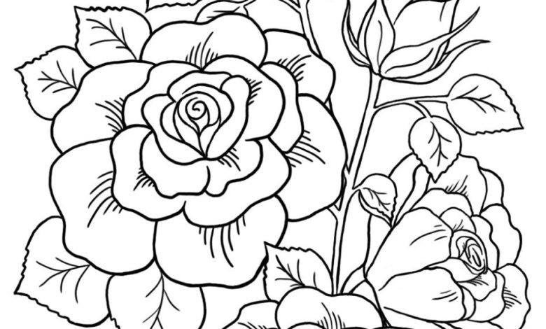 Boyama Sayfası Gül Çiçeği Resmi