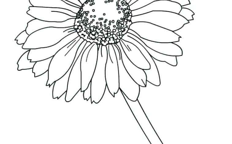 Papatya Çiçeği Boyama Sayfası - Çocukların Yaratıcı Faaliyetleri İçin Eğitici Çizim