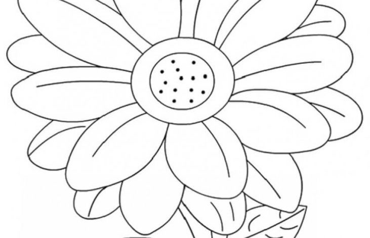 Çiçek Boyama Sayfası Geniş Yapraklı Tekil Çiçek Boyama Özelliği