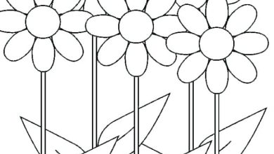 Çiçekli Boyama Sayfası Renkli Papatyalar