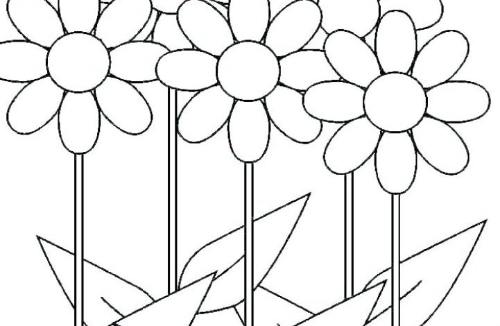 Çiçekli Boyama Sayfası Renkli Papatyalar