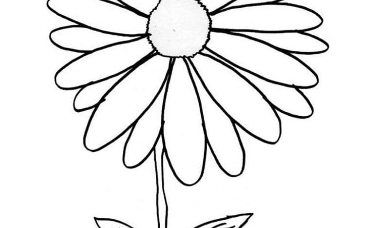 Renkli Papatya Çizimi Boyama Sayfası Özgün ve Eğlenceli Çiçek Sanatı
