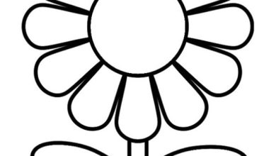 Çiçek Boyama Sayfası Basit ve Eğlenceli Papatya Çizimi