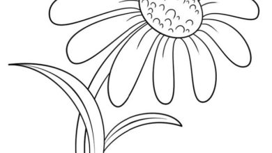 Renkli Çiçek Boyama Sayfası Eğlenceli Bahar Aktivitesi