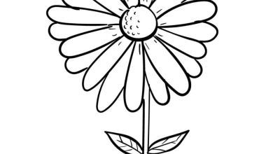 Papatya Boyama Sayfası - Çocuklar ve Yetişkinler için Eğlenceli Çiçek Resmi