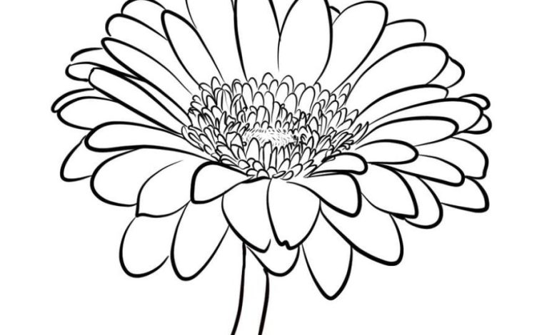 Papatya Çiçeği Boyama Sayfası - Detaylı Çizim
