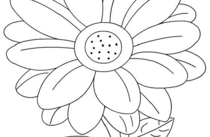 Büyük Çiçek Çizimi Boyama Sayfası Çiçek Yaprakları ve Saplarıyla
