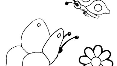 Çiçek ve Uçan Kelebekler Boyama Sayfası Resmi