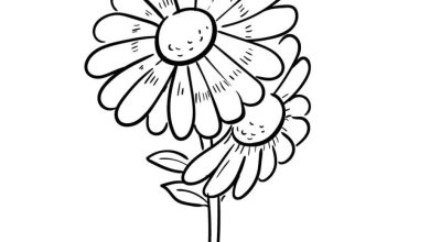 Çiçek Boyama Sayfası - Sevimli Papatya Çizimi
