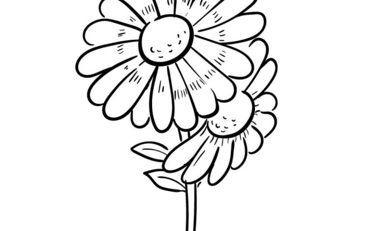 Çiçek Boyama Sayfası - Sevimli Papatya Çizimi