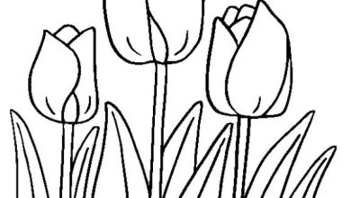 Boyama Sayfası Üç Lale Çiçeği ve Yapraklar