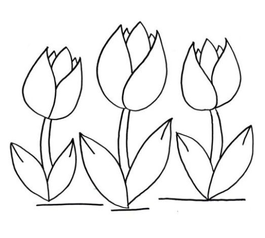 Üç Laleyi Gösteren Boyama Sayfası