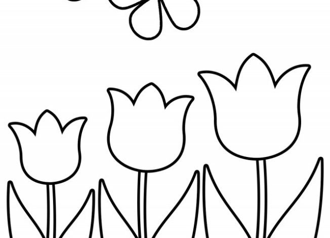 Kelebekler ve Lale Çiçekleri Boyama Sayfası